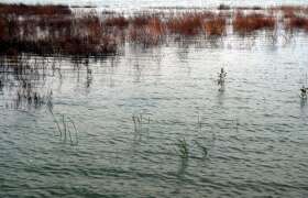 2 Million Gallon Drilling Fluid Spill in Ohio Wetlands 