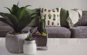Top Tips For Beautifying Your House Or Apartment