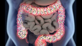 University of Oregon Online Courses Nutrition and Health: Human Microbiome for University of Oregon Students in Eugene, OR