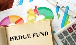 Clemson Online Courses Hedge Funds for Clemson University Students in Clemson, SC