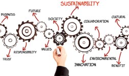 FSU Online Courses Introduction to Corporate Sustainability, Social Innovation and Ethics for Florida State University Students in Tallahassee, FL
