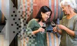Mount Holyoke Online Courses World of Wine: From Grape to Glass for Mount Holyoke College Students in South Hadley, MA