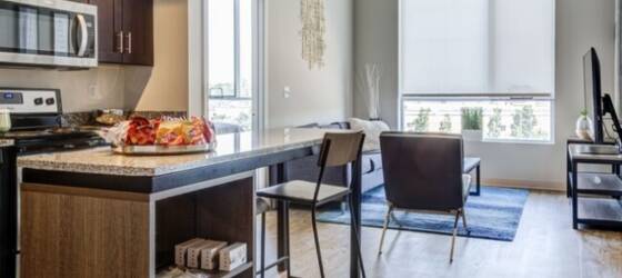 SLU Housing Single Furnished Studio at Everly on the Loop for Saint Louis University Students in Saint Louis, MO