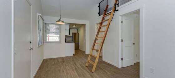 CU Boulder Housing NEWLY RENOVATED Rare 2 Bedroom 1 Bath House with a Loft! Steps Away from Pearl St for University of Colorado at Boulder Students in Boulder, CO