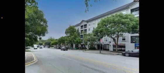 South Carolina Housing FURNISHED CONDO ON GREENE WITH UTILITIES for University of South Carolina Students in Columbia, SC