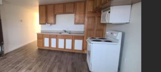 SNC Housing Newly renovated 1bedroom 1bath for Sierra Nevada College Students in Incline Village, NV
