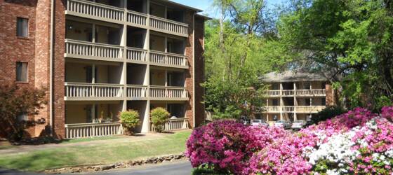 UGA Housing **AVAILABLE NOW** Spacious 1/1 within walking distance to campus and downtown! for University of Georgia Students in Athens, GA