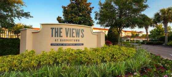 UNF Housing The Views at Harbortown Apartments for University of North Florida Students in Jacksonville, FL