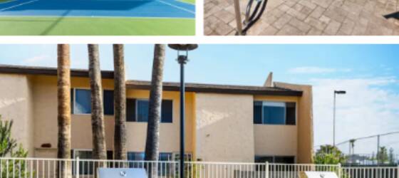 Scottsdale Housing 1bed,1 bath, condo. Vault ceilings. Near Old Town for Scottsdale Students in Scottsdale, AZ