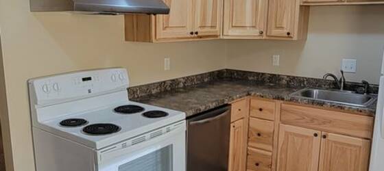 Wartburg Housing Nicely updated 2 bedroom! for Wartburg College Students in Waverly, IA